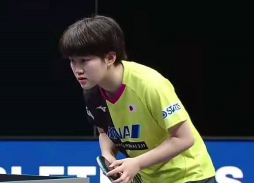 设计的合谋 设计的合谋