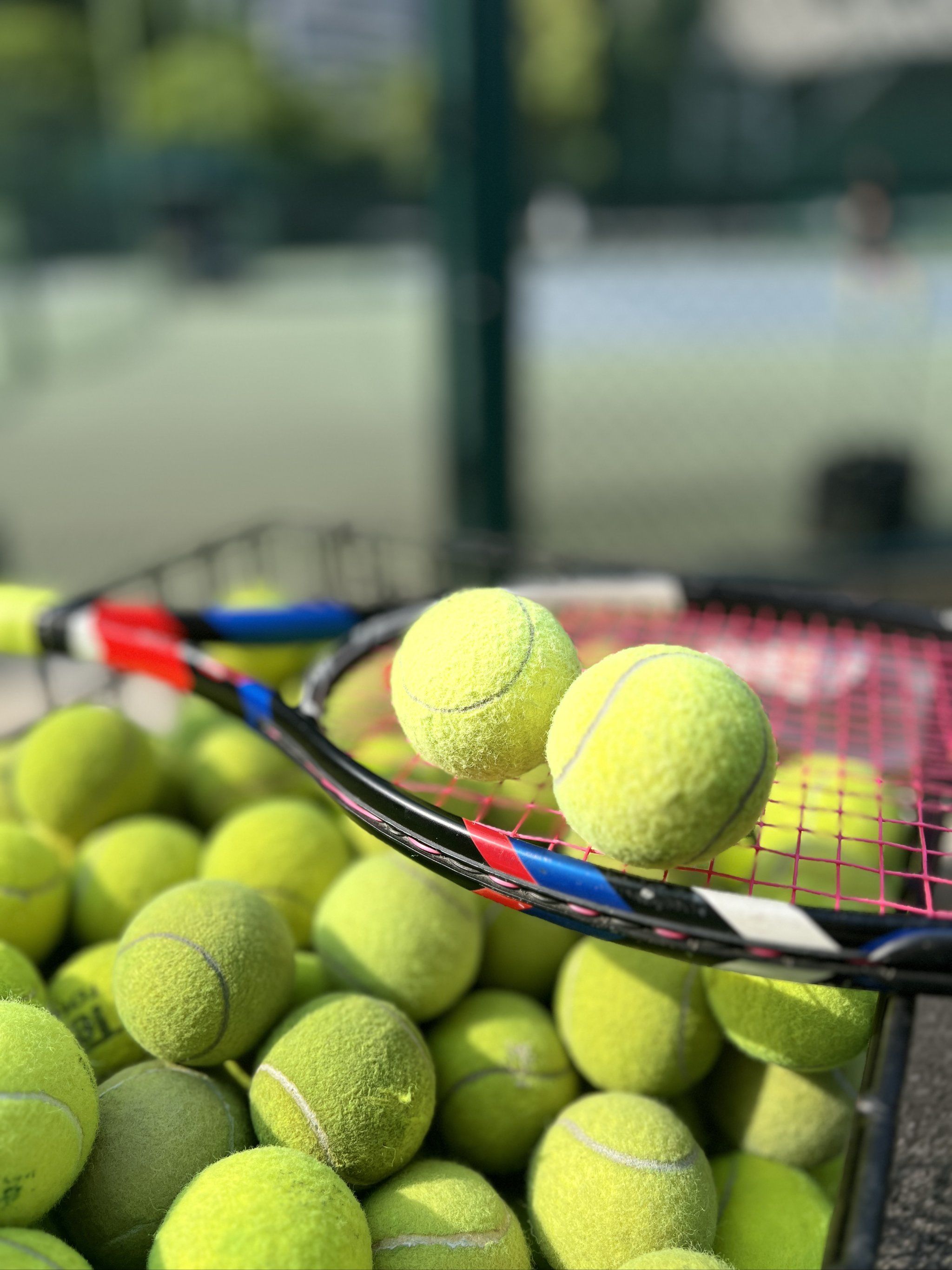 四川男篮意 四川男篮意